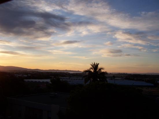 100_0338.jpg