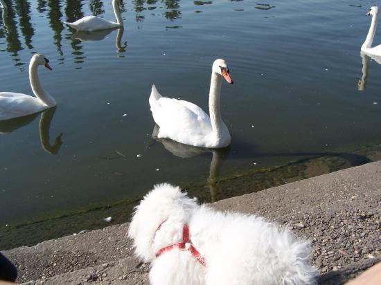 100_0444.jpg