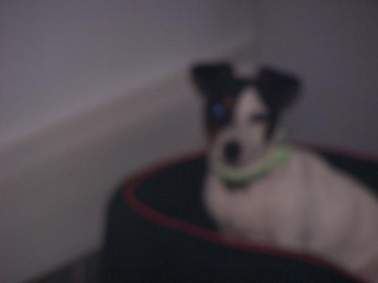 100_0462.jpg