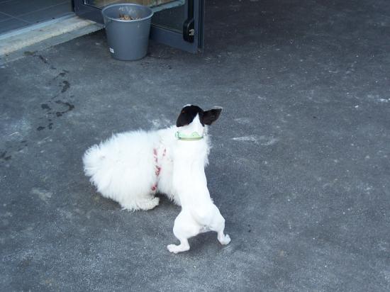 100_0463.jpg