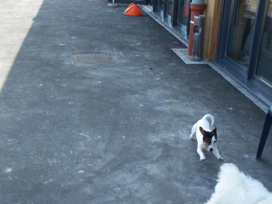 100_0466.jpg