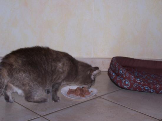 100_0512.jpg