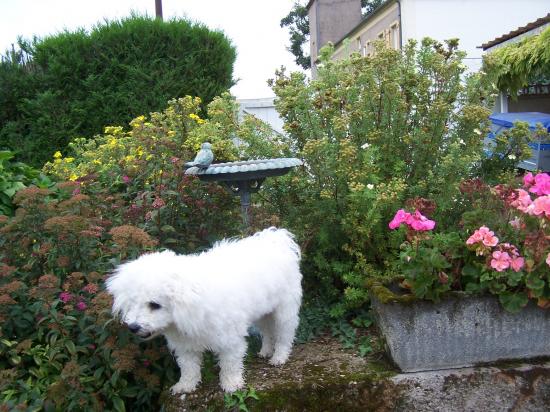 100_0544.jpg